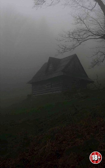 Страшные истории для рассказа в темноте