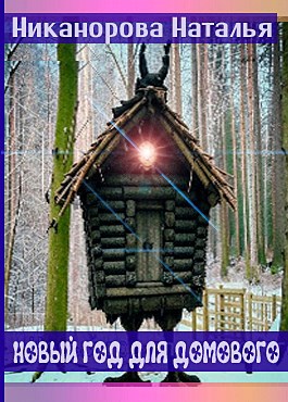 Новый год для домового