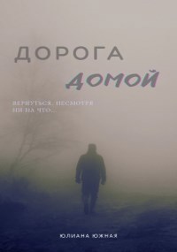 Дорога домой