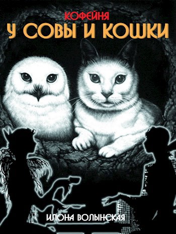 Кофейня Совы и Кошки