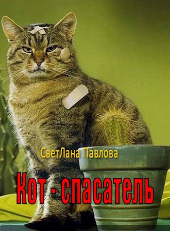 Кот — спасатель