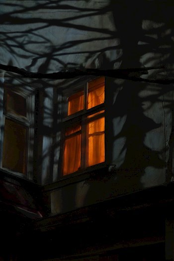 Полуночник
