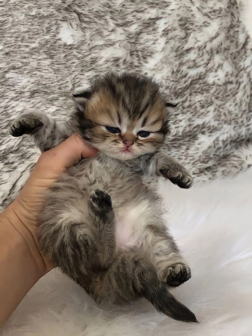 Послевкусие по БОЖЕСКИ