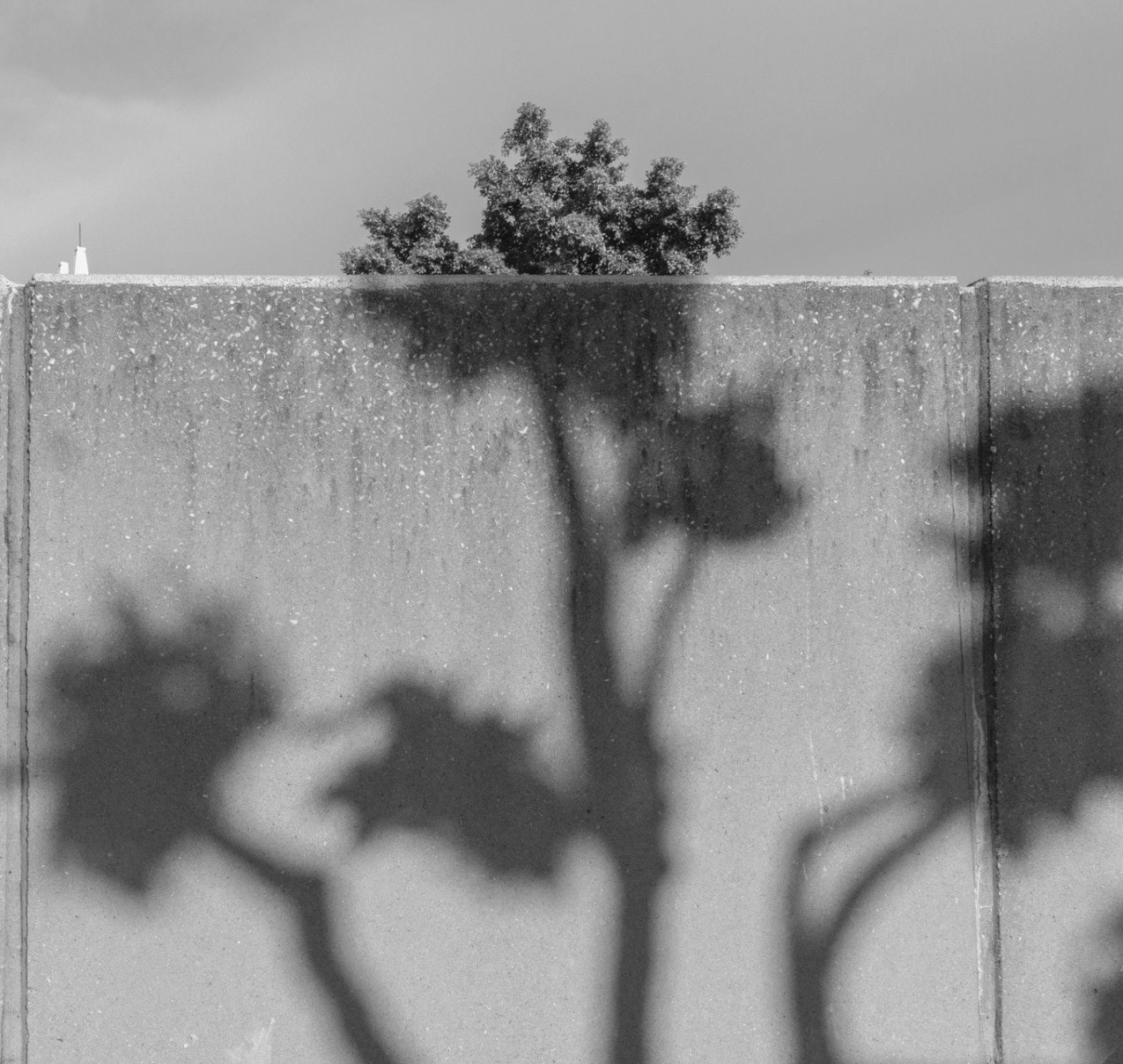 Сделав круг