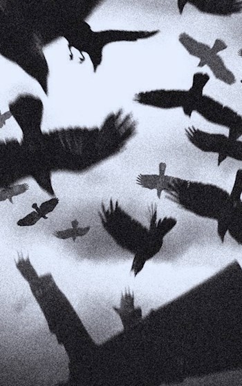 Сон или реальность