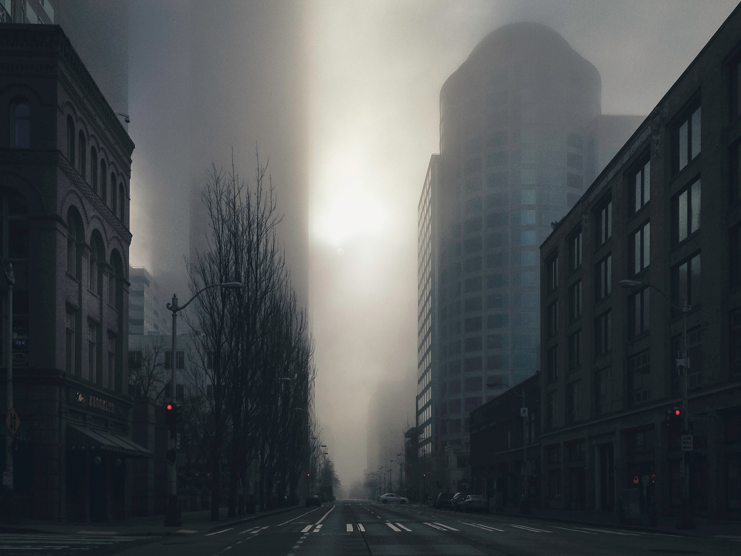 Новая Россия