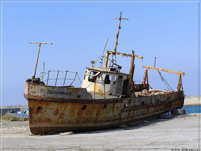 Большой пушистый ( постапокалипсис)