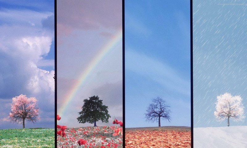 Времена года