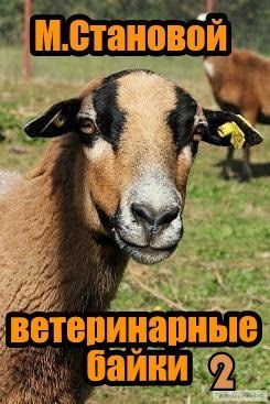 Ветбайки-2