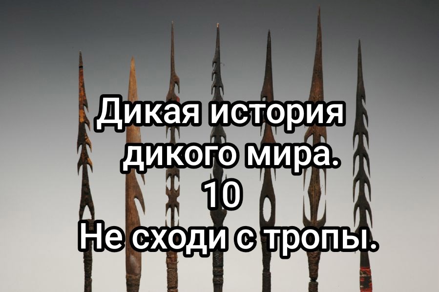 Дикая история дикого мира–10. Не сходи с тропы.