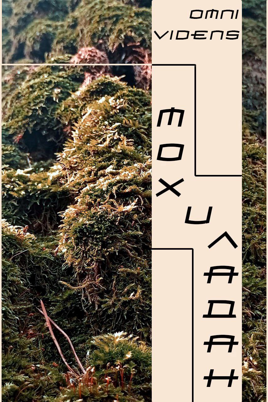 Мох и ладан