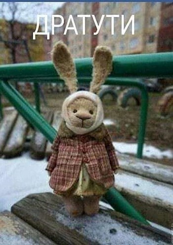 Подарок для зайца