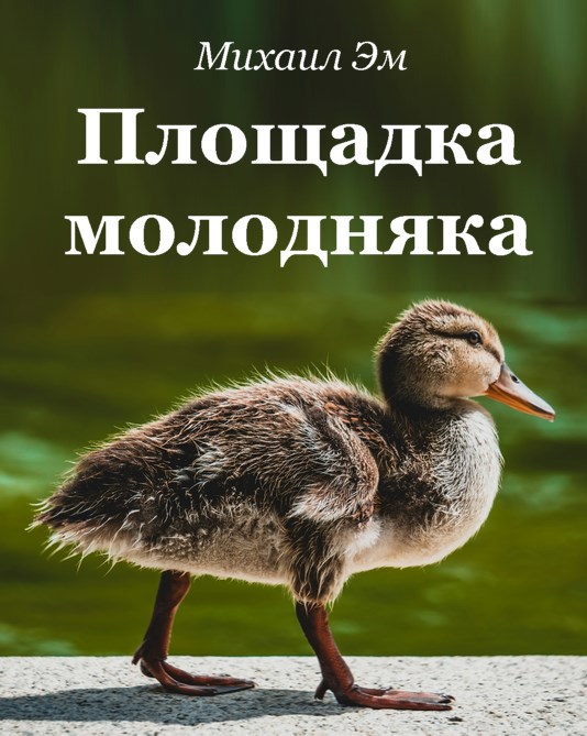 Площадка молодняка