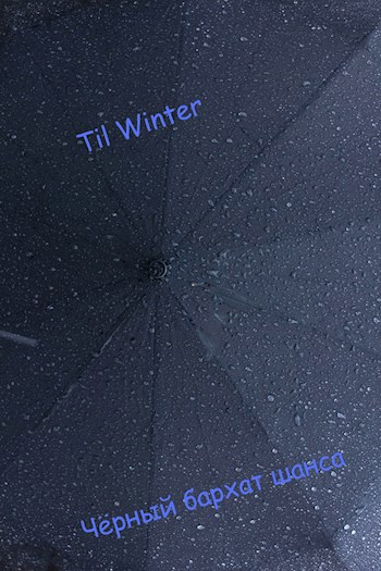 Чёрный бархат шанса