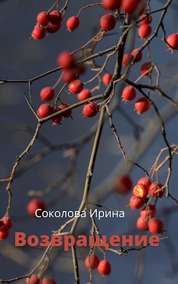 Возвращение