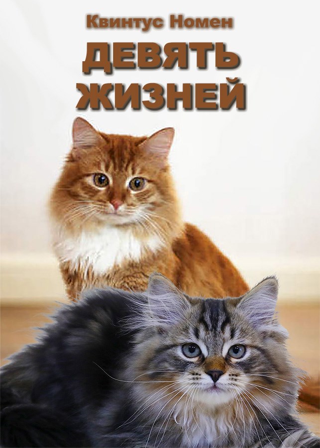 Девять жизней