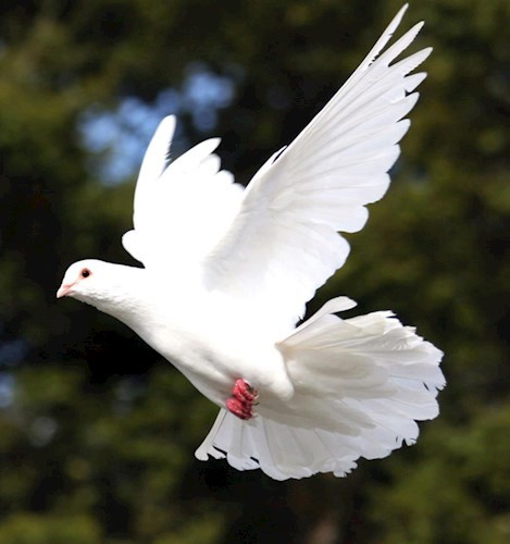 О монастыре