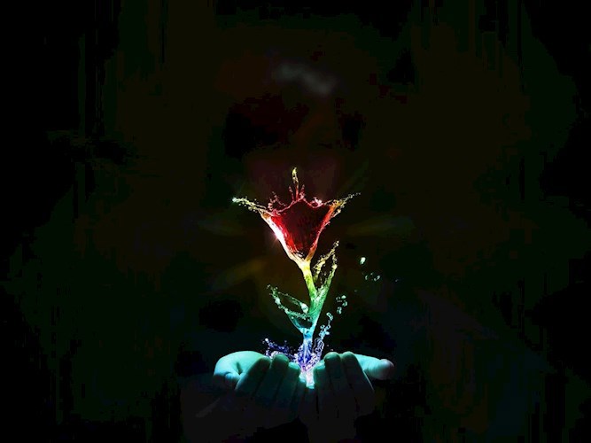 Не верь снам!