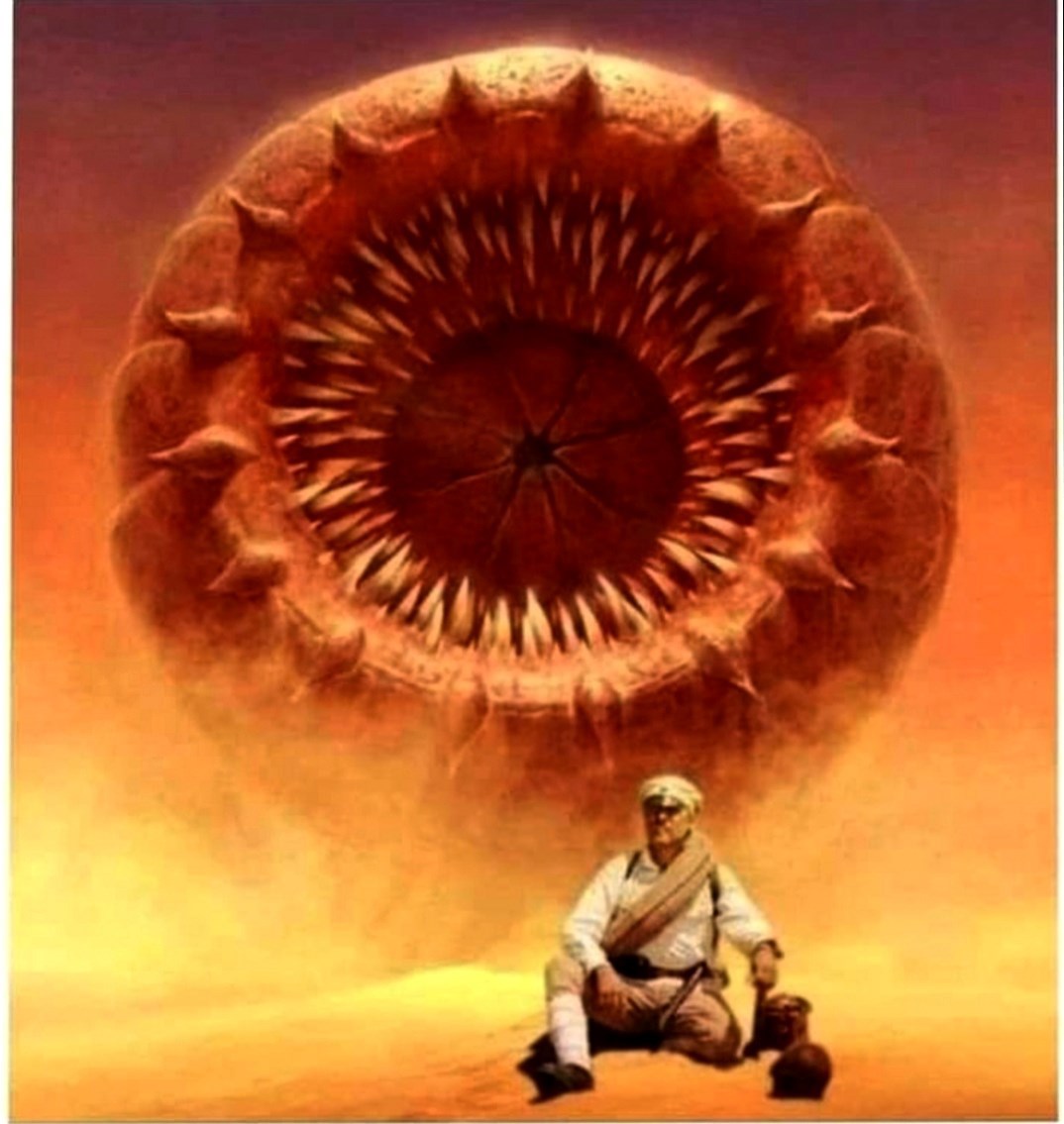 Белое солнце Дюны