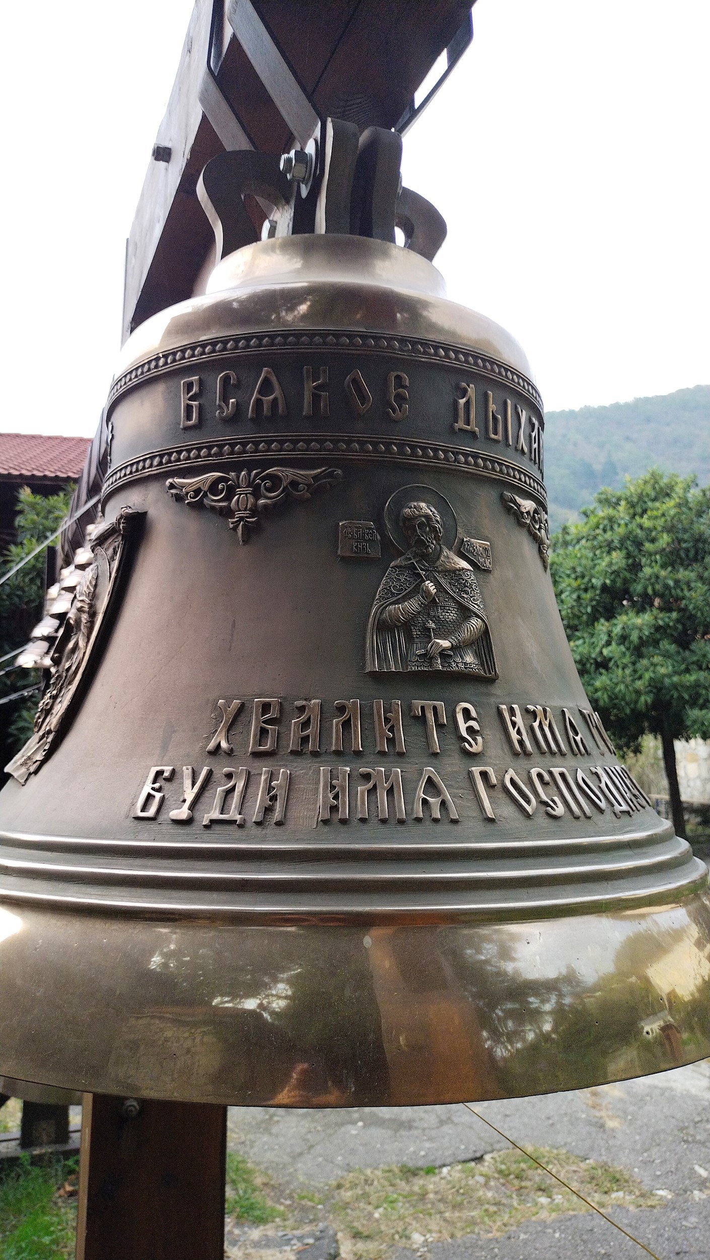 I was thinking that the leaf was black