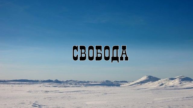 Свобода