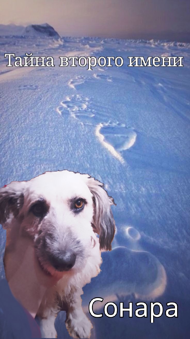 Тайна второго имени