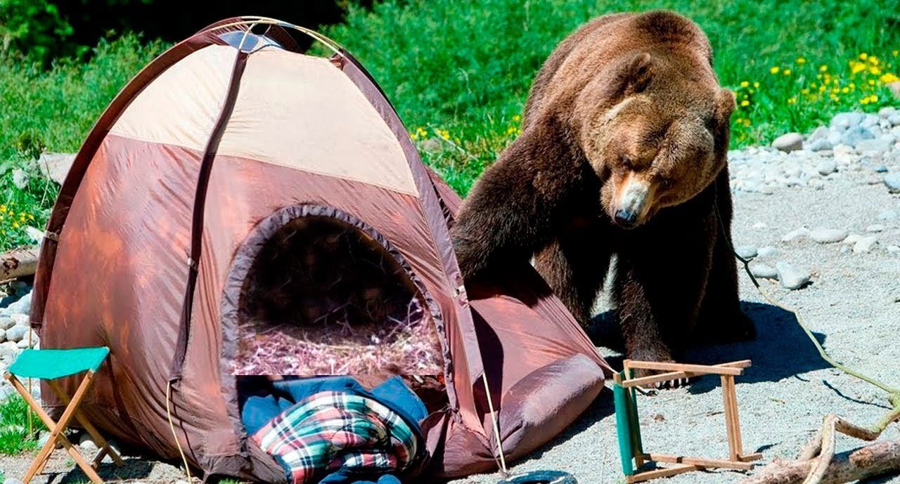 Не придуманная история