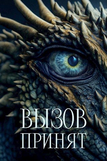 Вызов принят