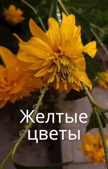 Желтые цветы