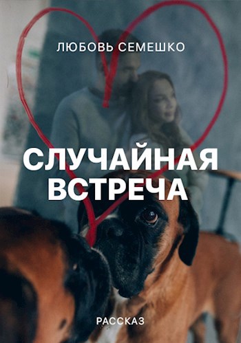 Случайная встреча