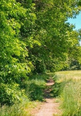 Как я провел лето