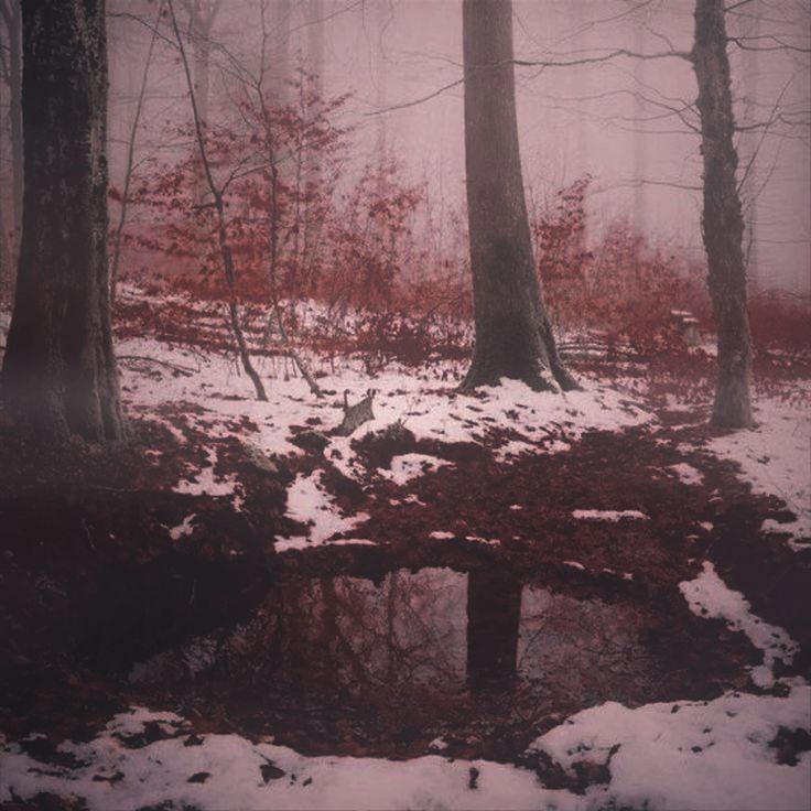 Кровавая зима.