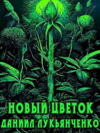 Новый цветок