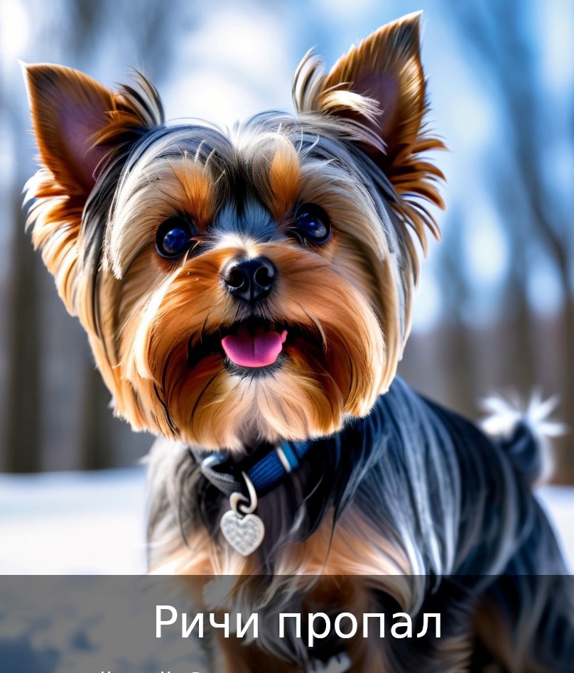 Ричи пропал