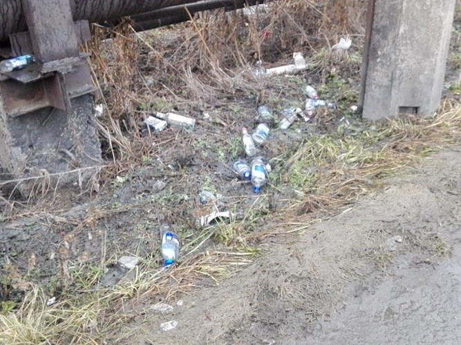 Подснежники