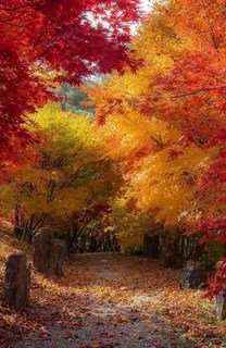 Лето осень 2025 года.