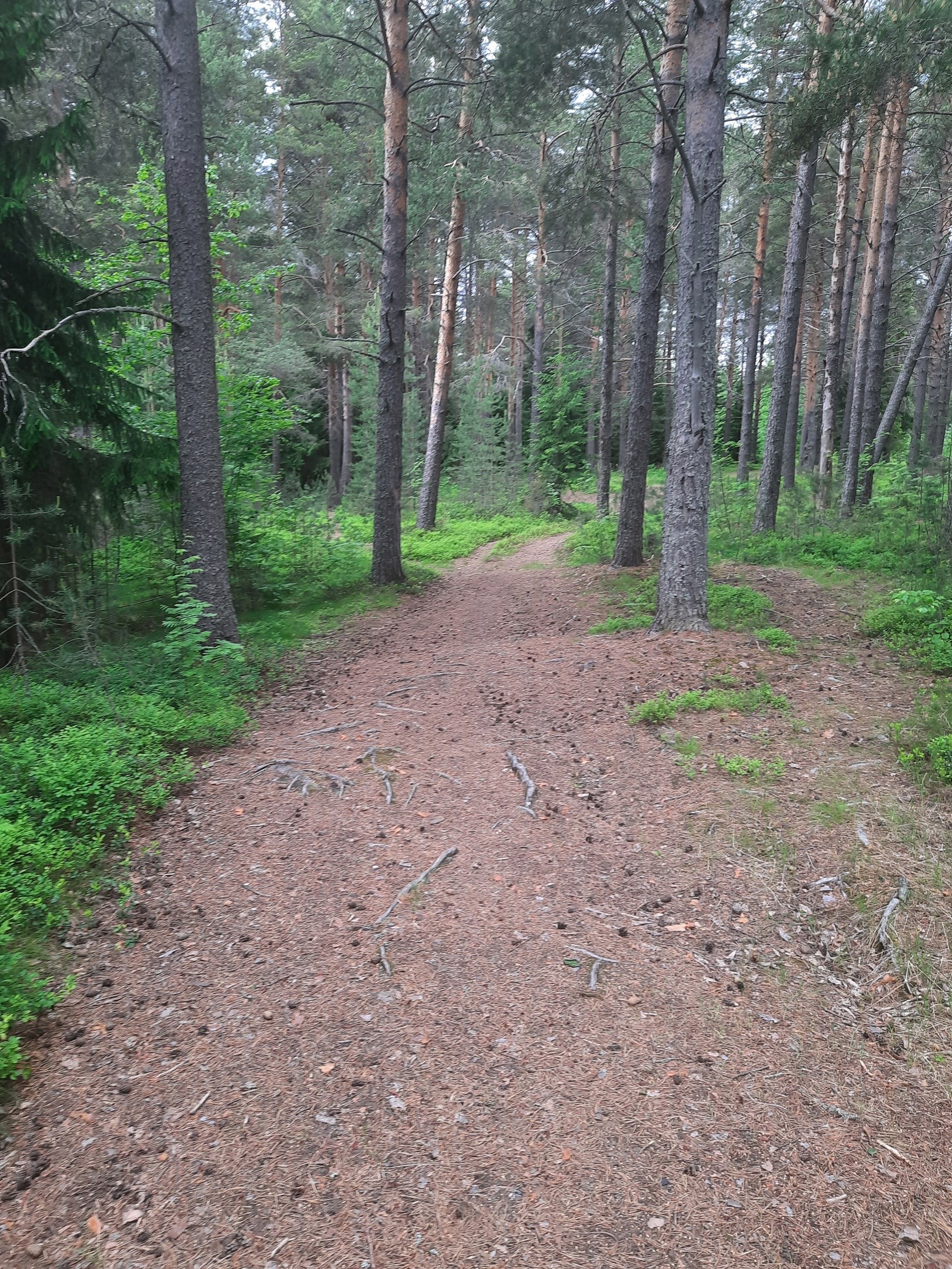 Особые места