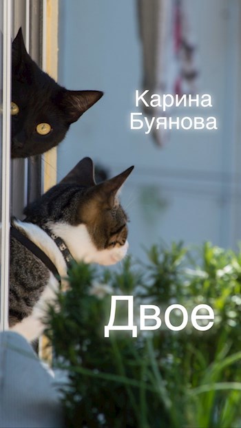 Двое