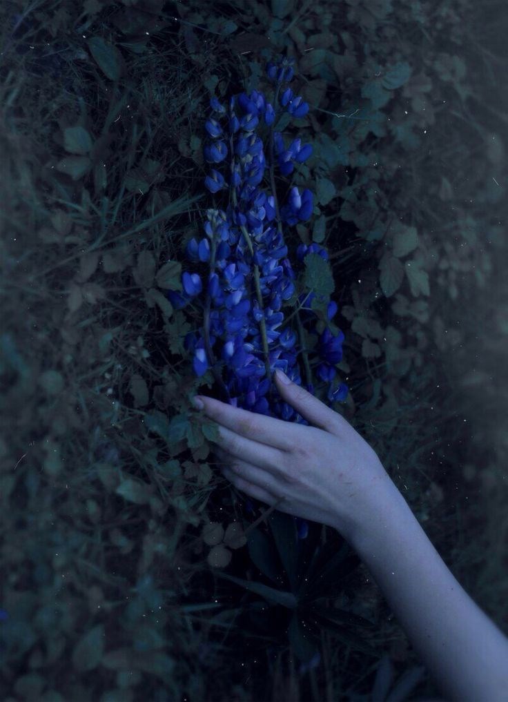 Женская любовь