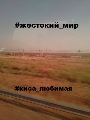 Жестокий мир