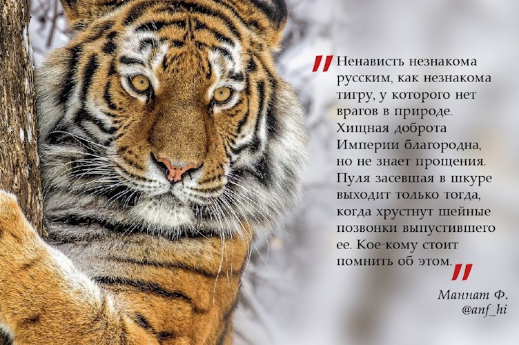 О хищной доброте Империи