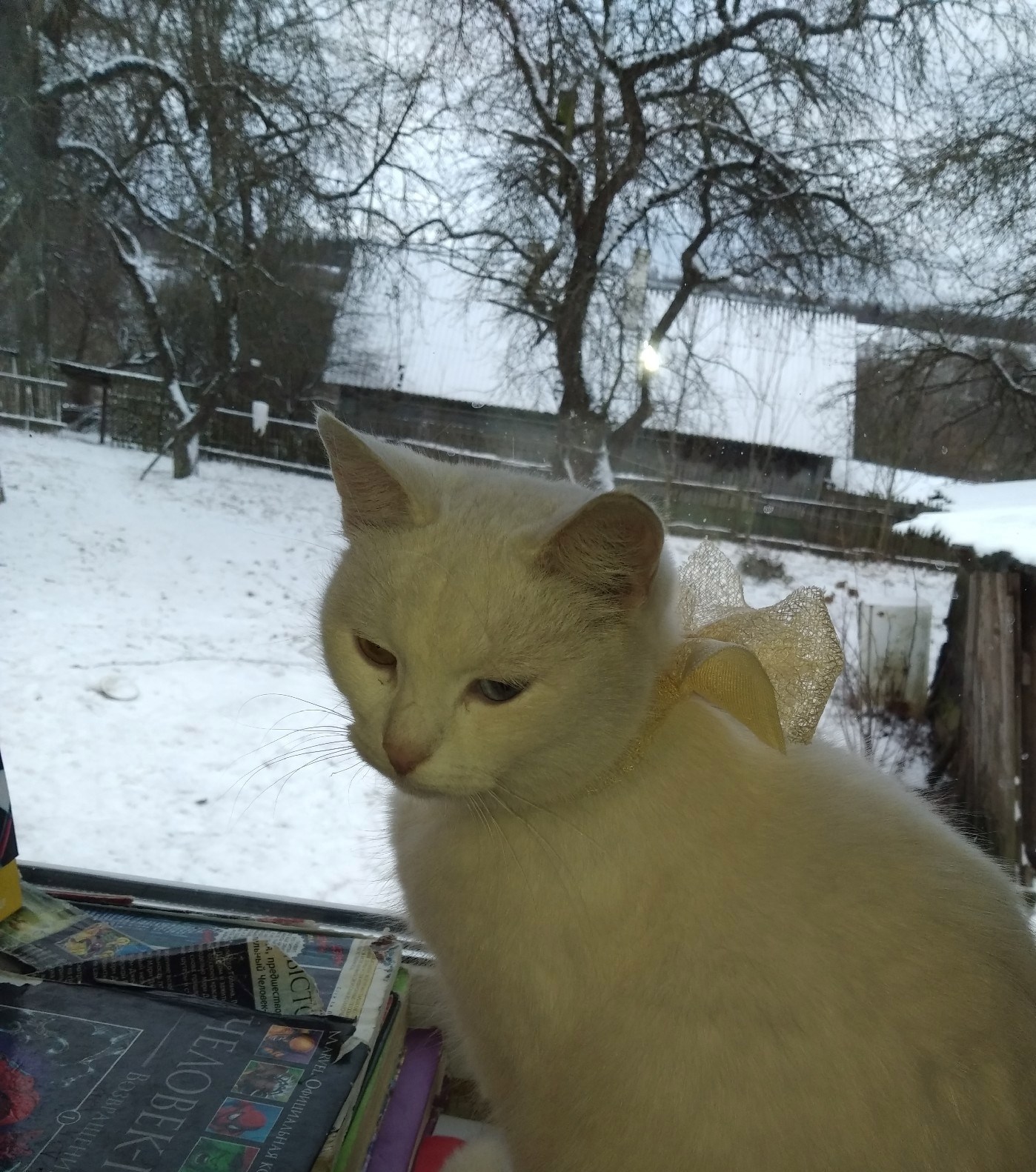 Перламутровая сказка часть 5