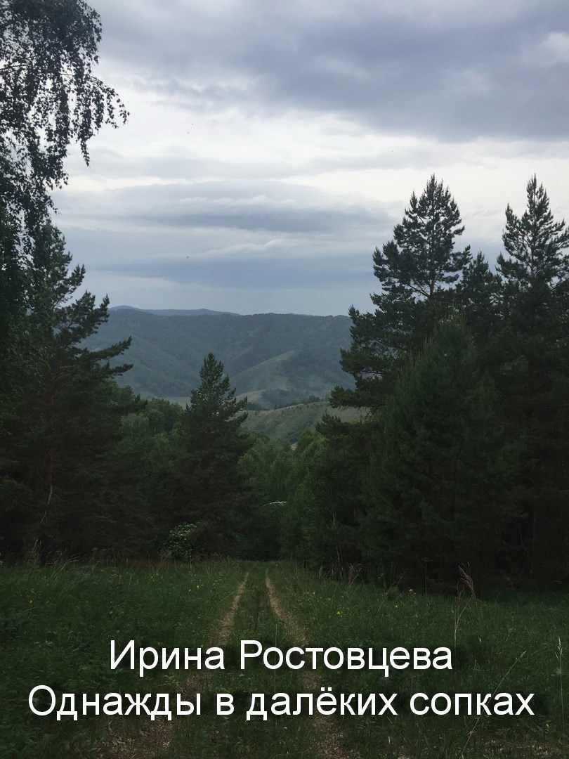 Однажды в далёких сопках