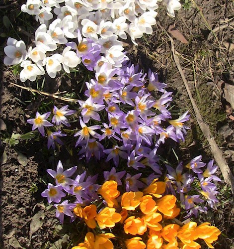 Повторение - мать учения