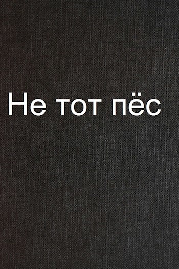 Не тот пёс