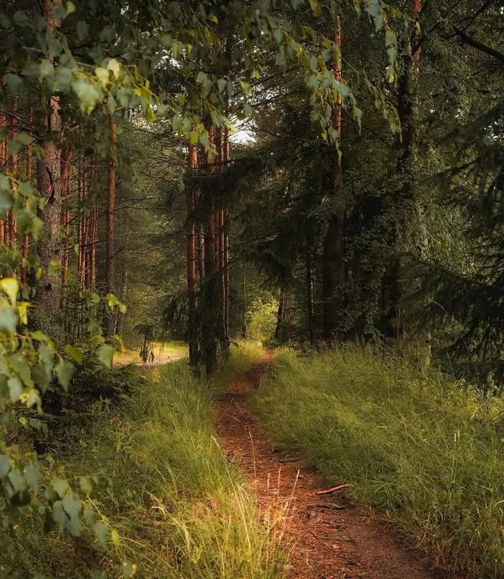 Ваня и путешествия истории