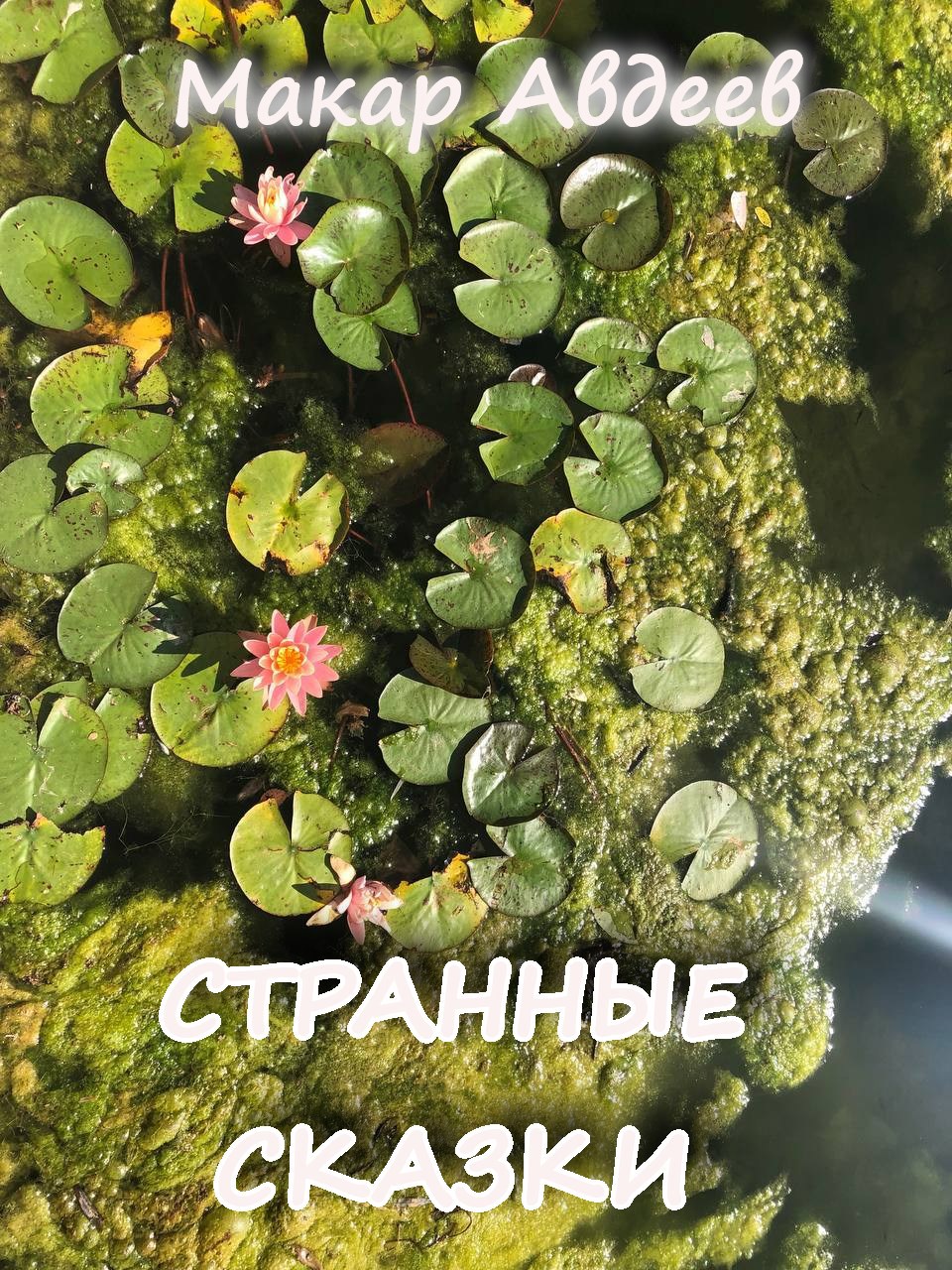 Странные сказки