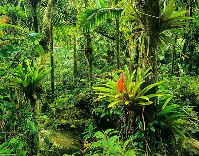 Последняя весна человечества