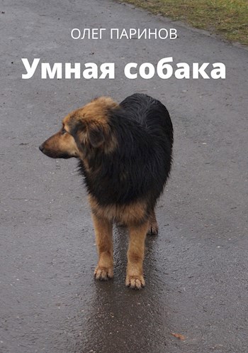 Умная собака