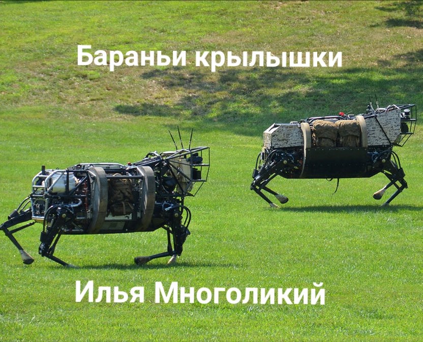 Бараньи крылышки